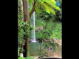 𝗞𝗮𝘁𝗶𝗯𝗮𝘄𝗮𝘀𝗮𝗻 𝗙𝗮𝗹𝗹𝘀- the Tallest Waterfall in Camiguin Island 🏞️❤️