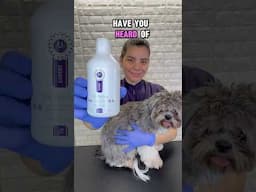 Hydra Oil Redux #doggroominglife #doggroomingforbeginners #petshop