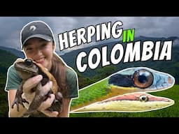 I Went Herping in Colombia, Here’s What I Found