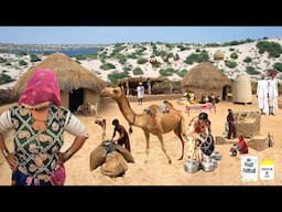 Thar Desert Woman Village Life Pakistan near Rann of Kutch | Traditional Life | Stunning Pakistan