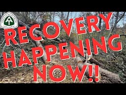 Appalachian Trail Damage Recovery and Thru Hiker information