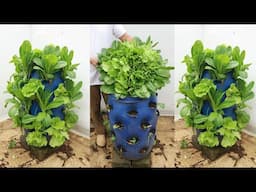 Circulating Vegetable Tower - Unique idea for growing vegetables at home with little care