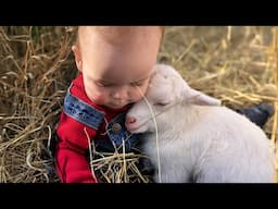 Little Friends Have Melting Moments With Animals