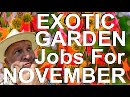 Tropical Gardens UK:  Exotic Garden Maintenance Jobs for November