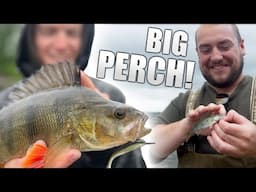 Can we catch the MONSTER PERCH? (Fishing in the Lake District)