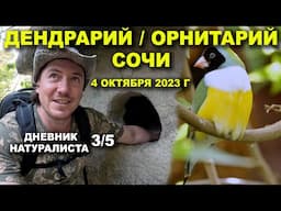 Дендрарий. Орнитарий. Сочи. 4 октября 2023 г. Дневник натуралиста 3-й из 5