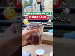 EVERYTHING We Ate @ Disneyland! 😮🏰 (Disney Snacks & Drinks)