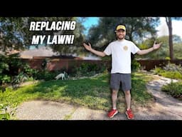 How to Replace Your Lawn with Native Groundcovers! Full 1 Year Update