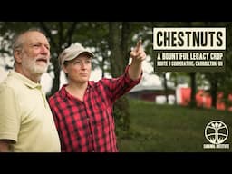 Chestnuts, A Bountiful Legacy Crop | Route 9 Cooperative, Carrollton, OH