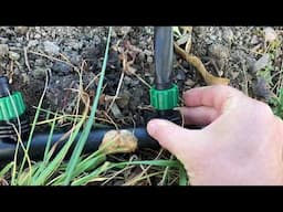 Simple DIY Drip Irrigation System