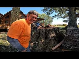 "You Won't Believe How Lucky I Got on This Tree & Stump Grinding Job!"