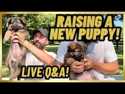 Raising A NEW PUPPY + LIVE Q&A!