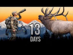 13 Day Archery Elk Hunt