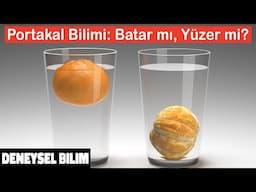 Portakal Neden Suda Yüzer? | How To Make An Orange Sink | İnanılmaz Bilim Deneyi | Deneysel Bilim