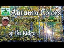 Autumn Colors with The Relaxing Sites and Sounds of the Ridge in the Foothills of the Smokies