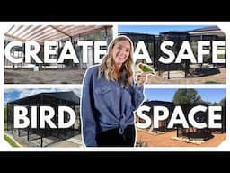 Creating a Safe Outdoor Space For Your Birds