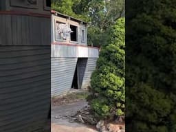 Abandoned Hidden Gettysburg Mini Golf Course #abandonded #golfcourse #gettysburg