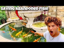 Saving ABANDONED Aquarium FISH From FOUNTAIN POND!