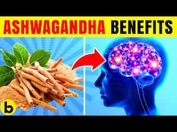 10 Benefits Of 1 Spoon Of Ashwagandha Powder Daily