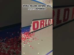 #WorldRecord Longest Domino Wall - 54,321 Dominoes