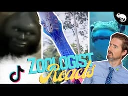 Zoologist Reacts To Viral Animal TikTok