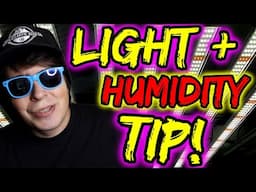 DON’T FORGET ABOUT THIS TIP WHEN ADJUSTING YOUR LIGHTS! | BONUS SOIL TIP