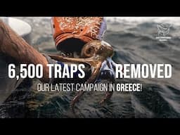 6,500 Traps Removed: Our Latest Campaign in Greece