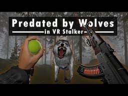 Roaming Chernobyl's Wolf Infested Woods in VR - Convrgence