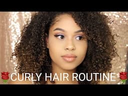 Curly Hair Routine | Inexpensive Quick And EASY! 2017