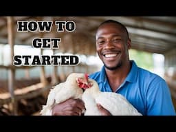 Raising Chickens: Everything You Need To Know!