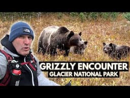 My Unexpected Encounter with Three Grizzly Bears at Glacier National Park