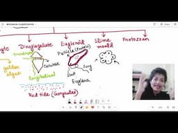 Protista | Biological Classification | CHAPTER 2 | CLASS 11 NCERT | NEET SERIES VIDEO 5