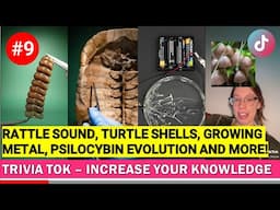 Trivia Tok #9 | Increase your knowledge | Tik Tok Compilation 2021