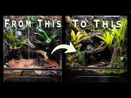 Vivarium Overhaul!!