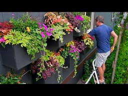 Water Wise Automatic Watering System | How To | Proven Winners