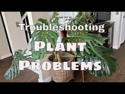 Basic Plant Problem Troubleshooting / HMVPL Grow Light