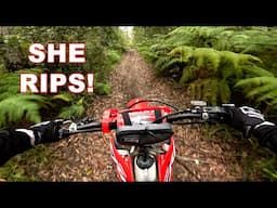 RIPPING the 2023 CRF250R