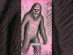 TRUTH Behind Sasquatch  Myth or Reality #bigfoot #sasquatch