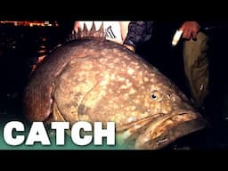 River Monsters Unleashed: Giant Grouper | Catch