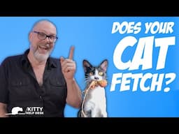 Does Your Cat Play Fetch?