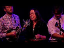 Punch Brothers feat. Sarah Jarosz - Teardrop (Massive Attack Cover)