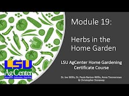 Module 19 - Herbs