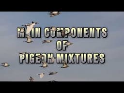 What are the main components of pigeon mixtures? Big 3 components of pigeon feeds, how they work?