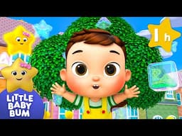 Baby Max Learns Bubbles and Shapes | Little Baby Bum | Dance Party Songs 2024 🎤 Dance Along 🎶