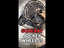 Jockey Wheel Noise? 🎶❌ #BikesOnline #ridemoreforless #bikelifetips #MTB #MTBLife