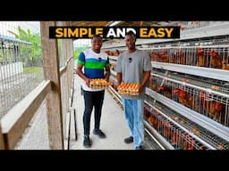 How to Start a SUCCESSFUL POULTRY FARM as a BEGINNER using the BATTERY CAGE SYSTEM in Ghana #poultry