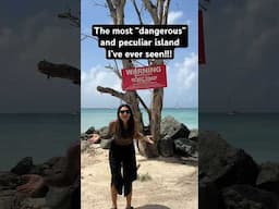 Poisonous & electrocuting island? #tobago #trinidad #traveler