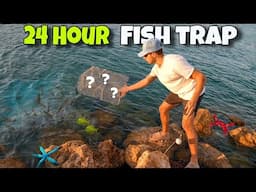 Catching SALTWATER AQUARIUM FISH In 24 HOUR FISH TRAP!!