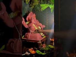 नैसर्गिक जगण्यातला गणेशोत्सव #villagelife #ganpati #india