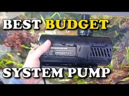 Best BUDGET Aquarium Pump? | AQQA Controllable Return Pump with LCD Display